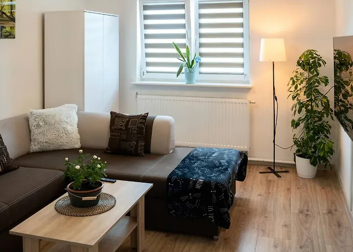 Willa Wynajem Grupowy Szansa *